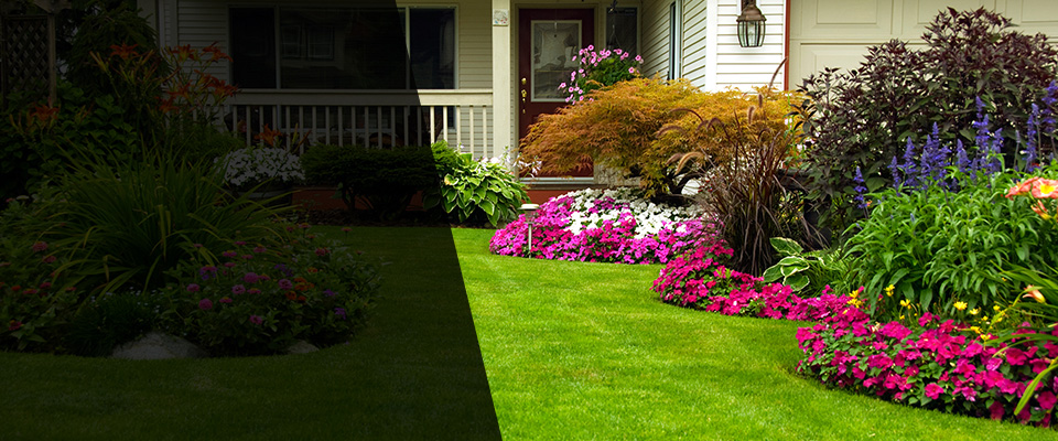 Vernonia Landscapers