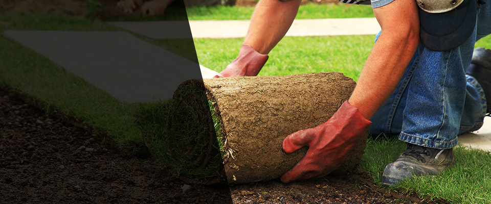 Vernonia Landscapers